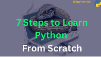7 Steps to Learn Python from Scratch.pdf